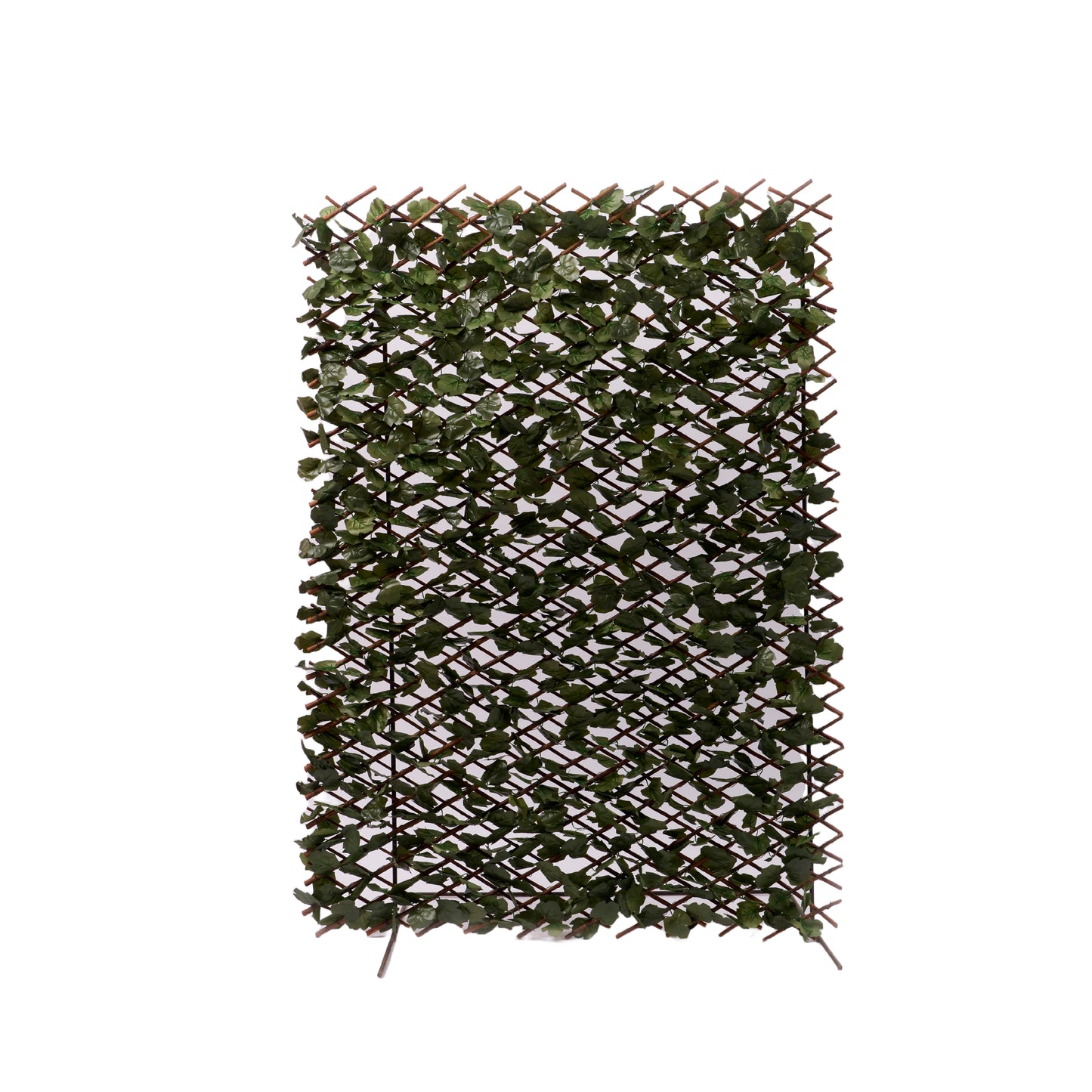 Jardin vertical