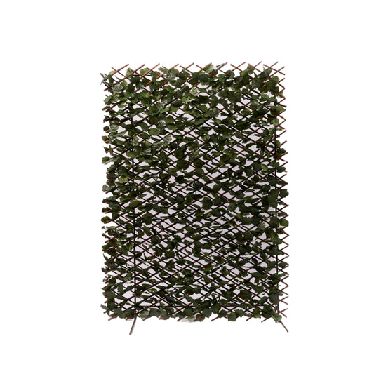 Jardin vertical
